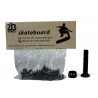 Kit 8 Vis/Ecrou pour Skate 213